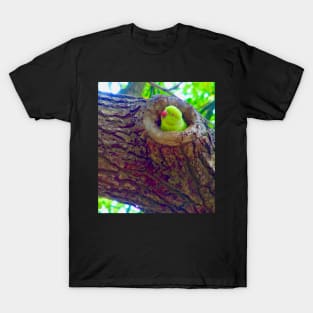 The Ring Parrot! T-Shirt